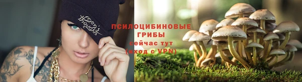 амфетамин Алексин