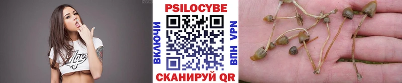 Галлюциногенные грибы Psilocybine cubensis  OMG онион  Казань  где купить  