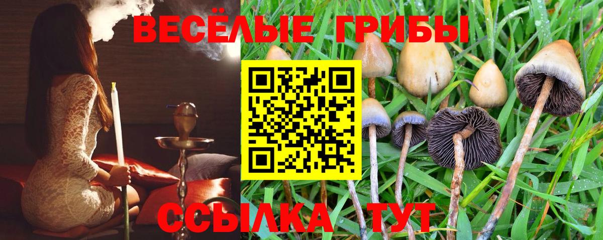 Галлюциногенные грибы ЛСД Казань